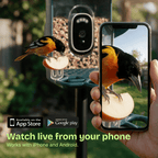 Easy Bird One Smart Bird Feeder with 2K+ Camera