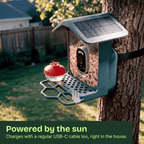 Easy Bird One Smart Bird Feeder with 2K+ Camera