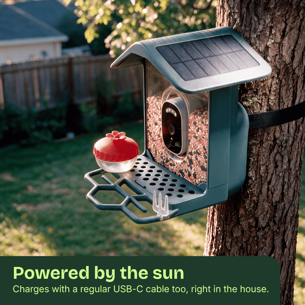 Easy Bird One Smart Bird Feeder with 2K+ Camera